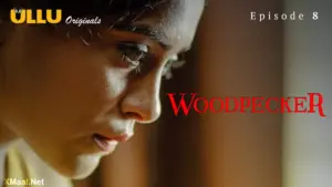 Woodpecker Episode 8 - featuring Anupama Prakash, Iira Soni, Ira Soni, Manvi Chugh, Nehal Vadoliya - Woodpecker